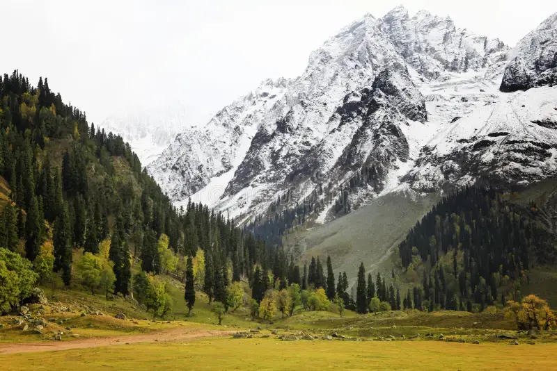 About Travel Nerve Kashmir