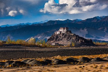 Pangong Lake Tour Package Ladakh - Travel Nerve Kashmir