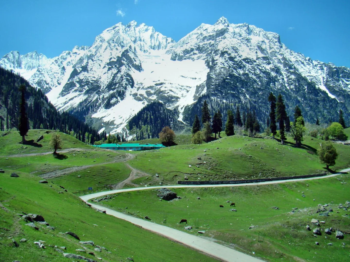 Sonamarg Tour Package Kashmir - Travel Nerve Kashmir